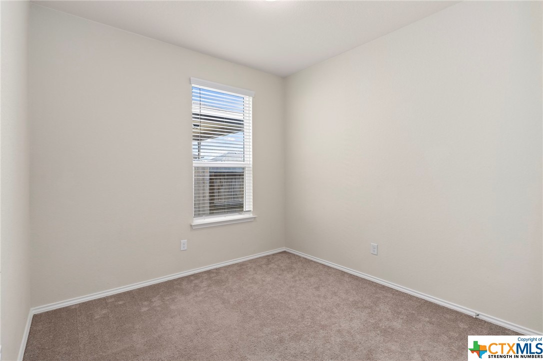 229 Texas Thistle