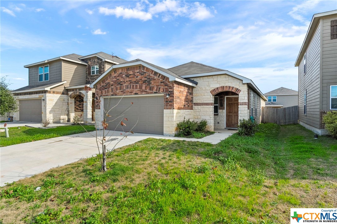 229 Texas Thistle