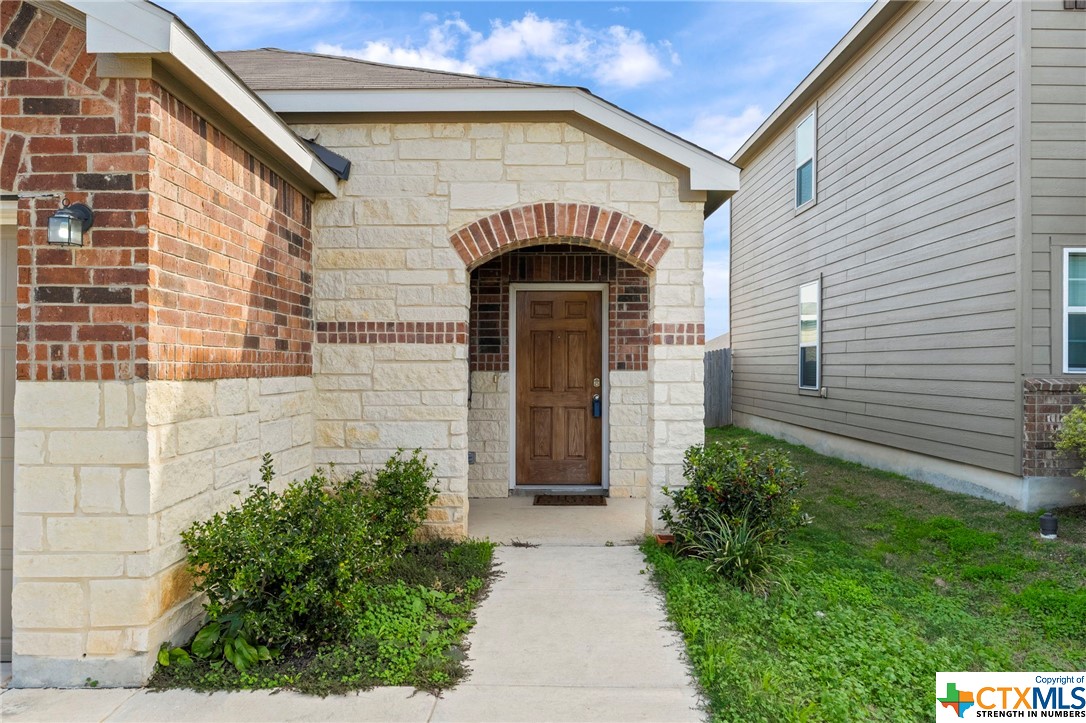 229 Texas Thistle