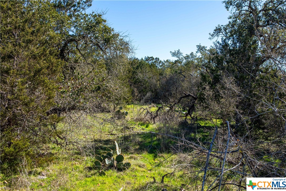4400 Hilliard Road