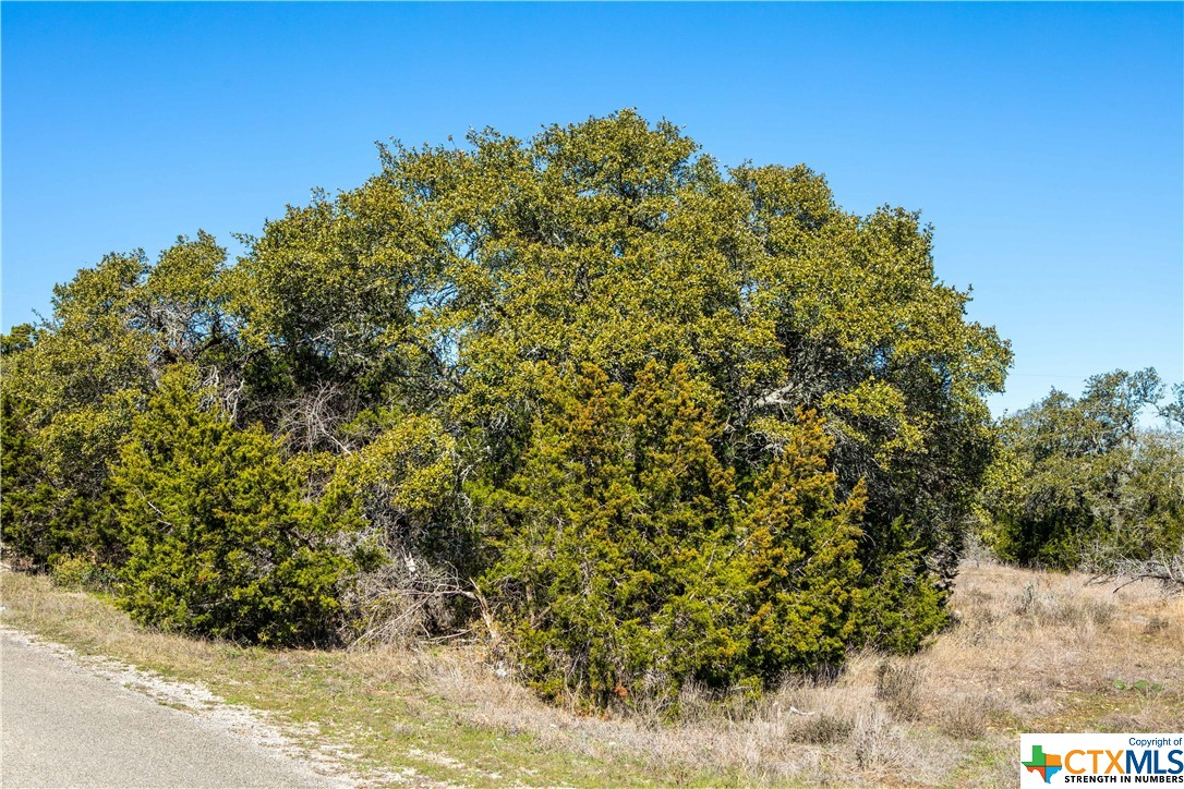 4400 Hilliard Road