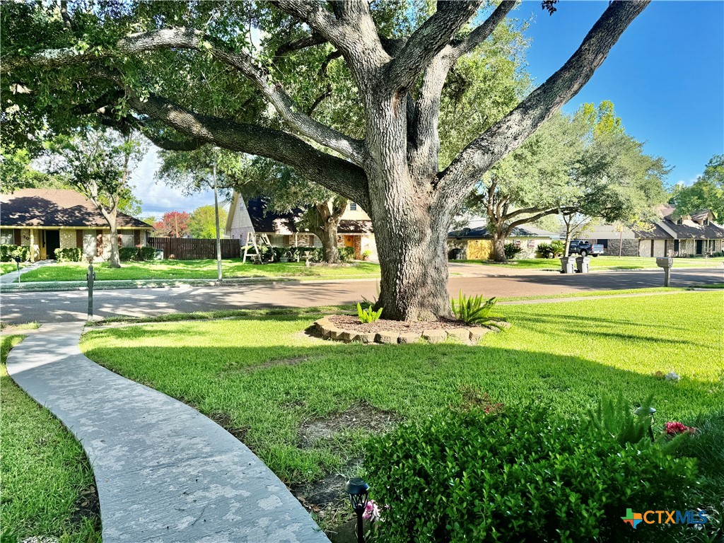 301 Tanglewood
