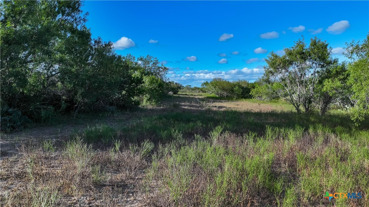 6402 County Road 345