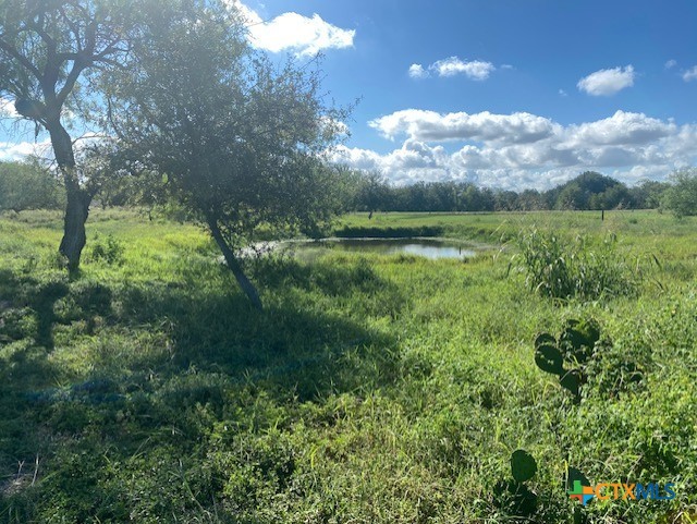 415 Watson Lane East Lane