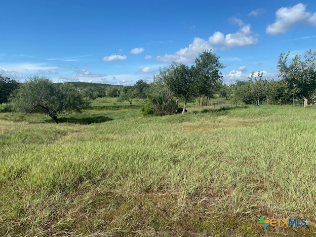 415 Watson Lane East Lane