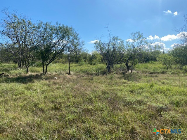 415 Watson Lane East Lane