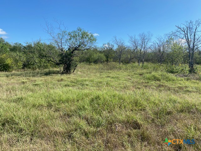 415 Watson Lane East Lane