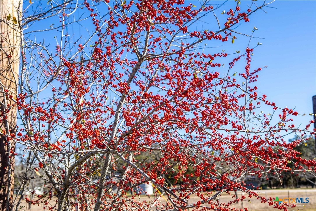 000 Old Fredricksburg Rd