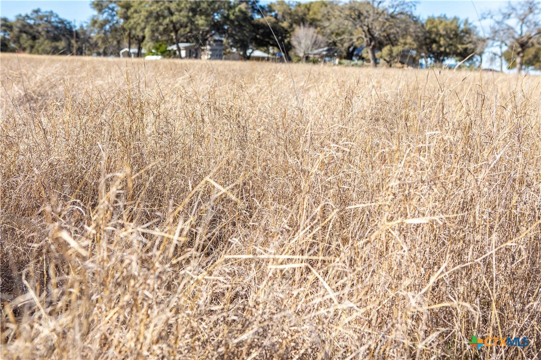 000 Old Fredricksburg Rd