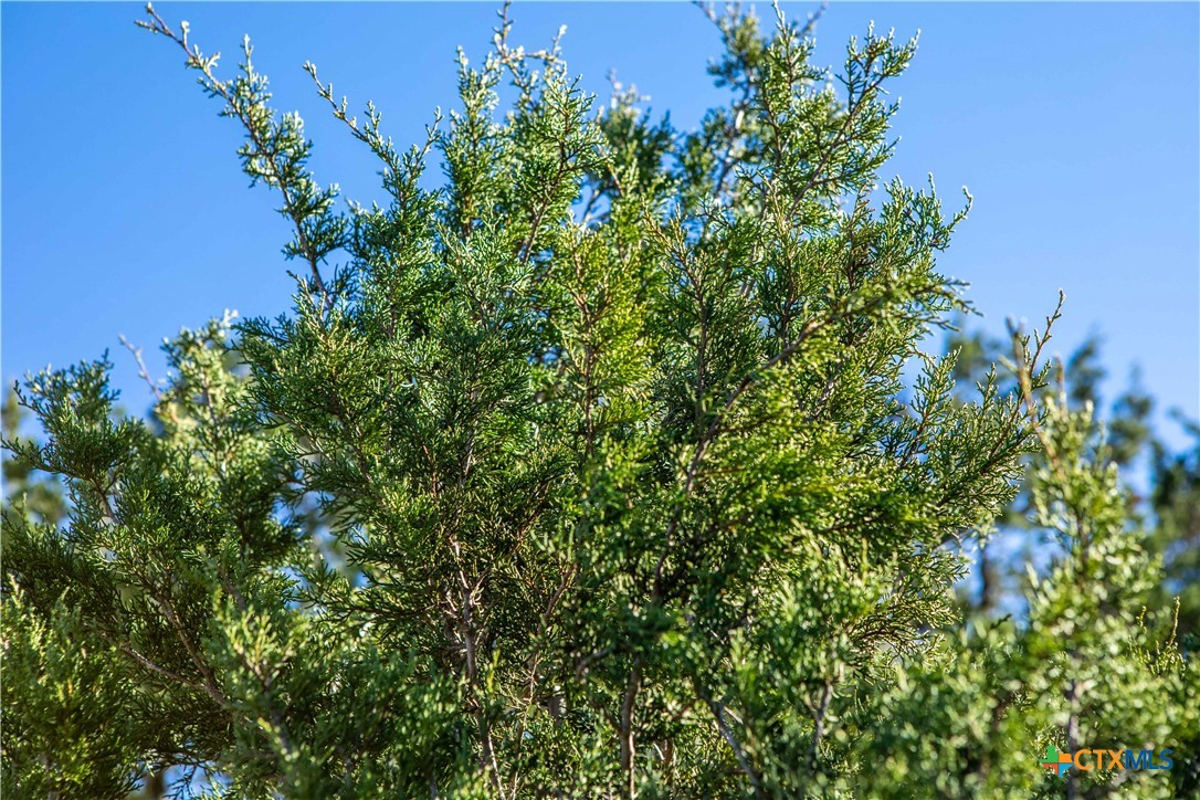 000 Old Fredricksburg Rd