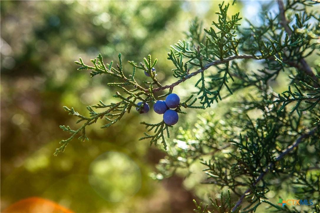 000 Old Fredricksburg Rd