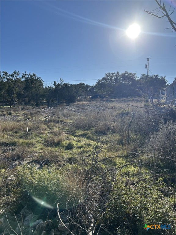 631 Hedgestone