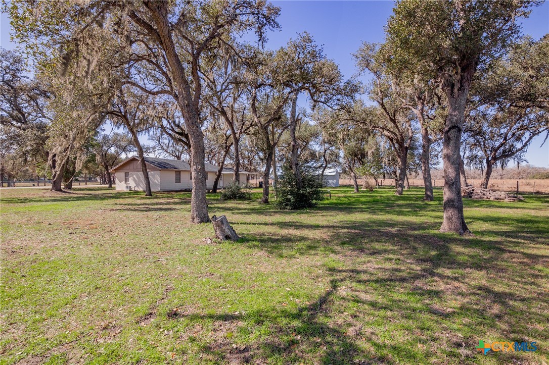3854 Old Goliad Road