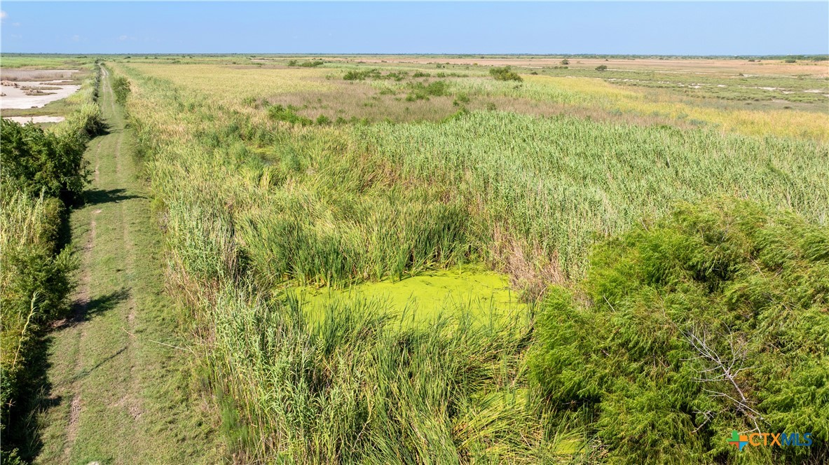 8036 State Highway 316