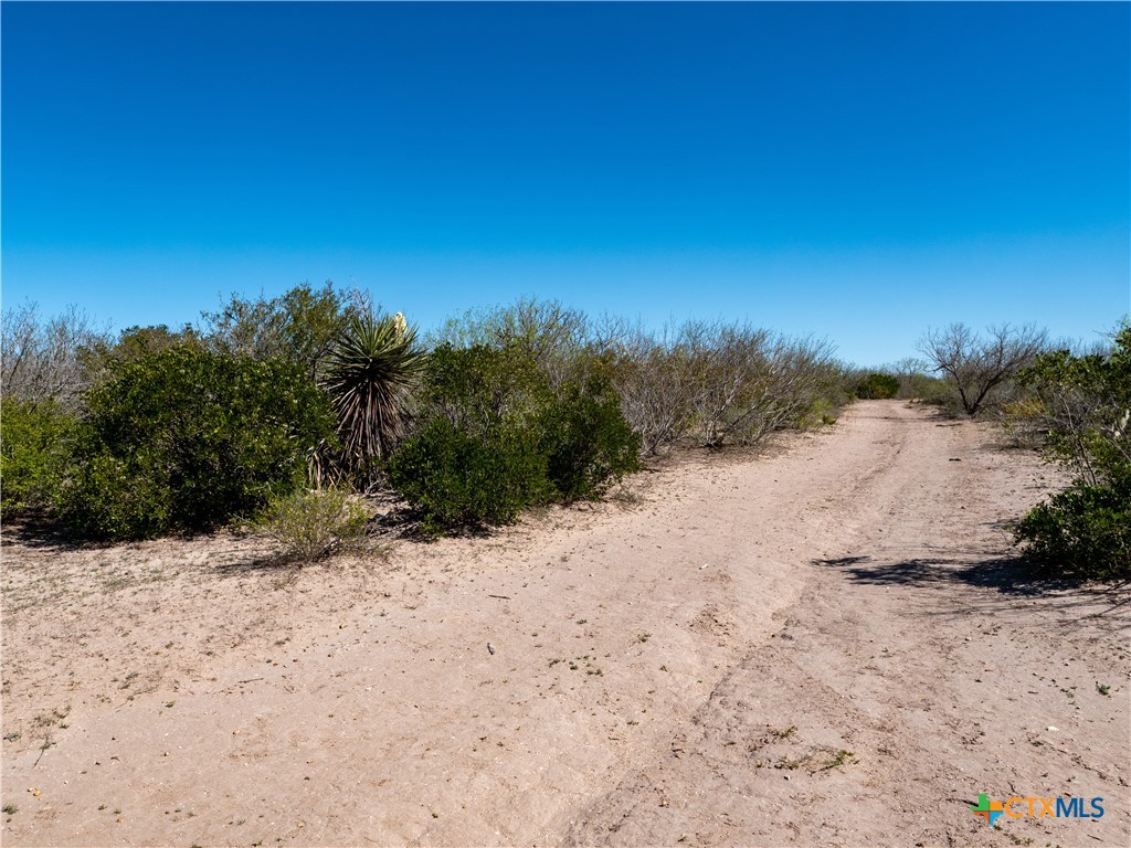 TBD County Road 131