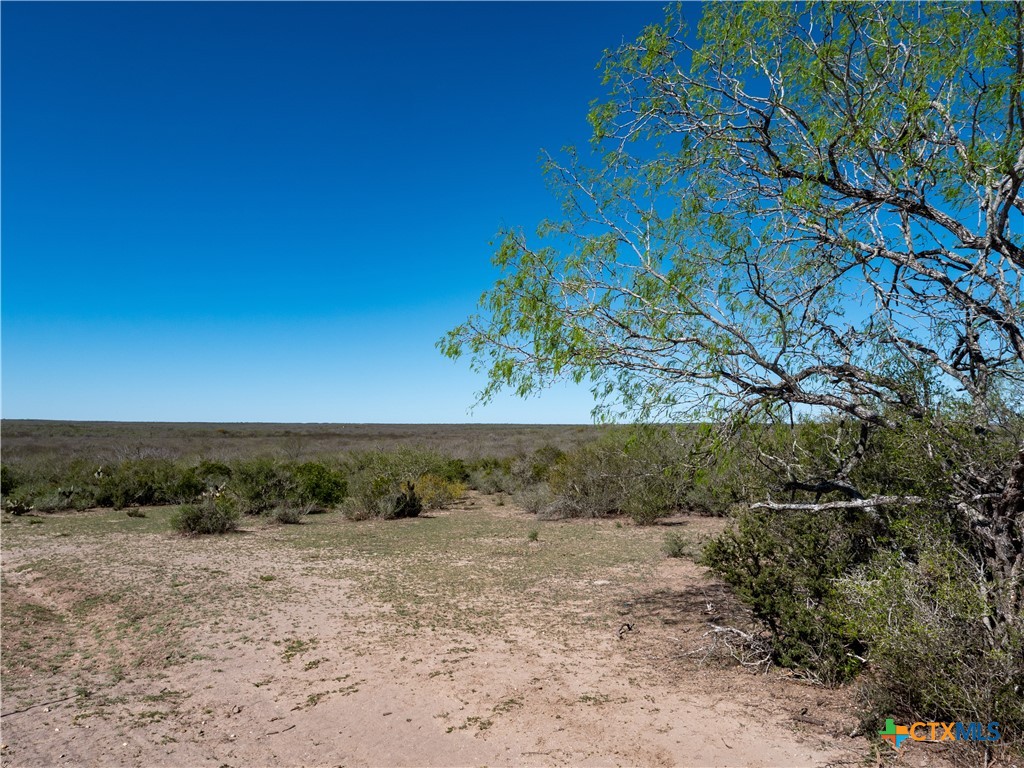 TBD County Road 131