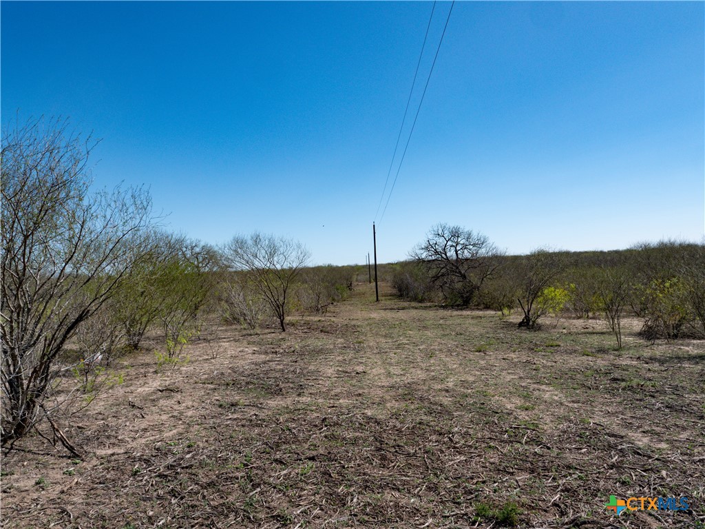 TBD County Road 131