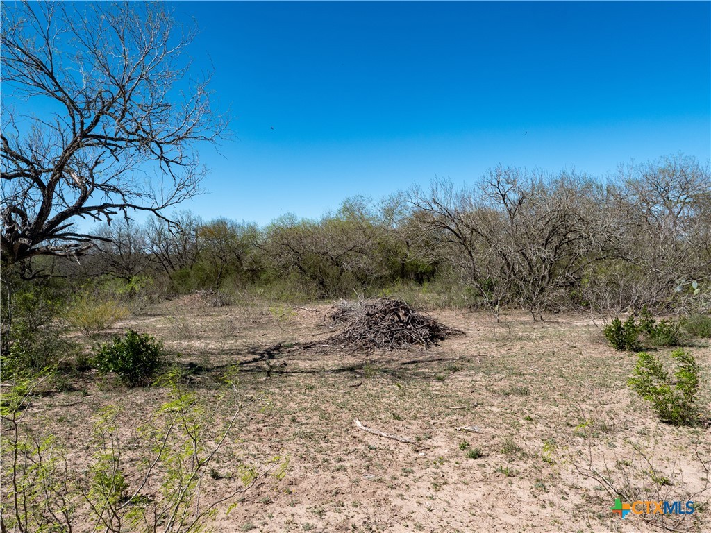 TBD County Road 131