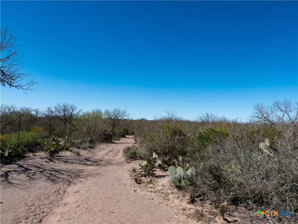 TBD County Road 131