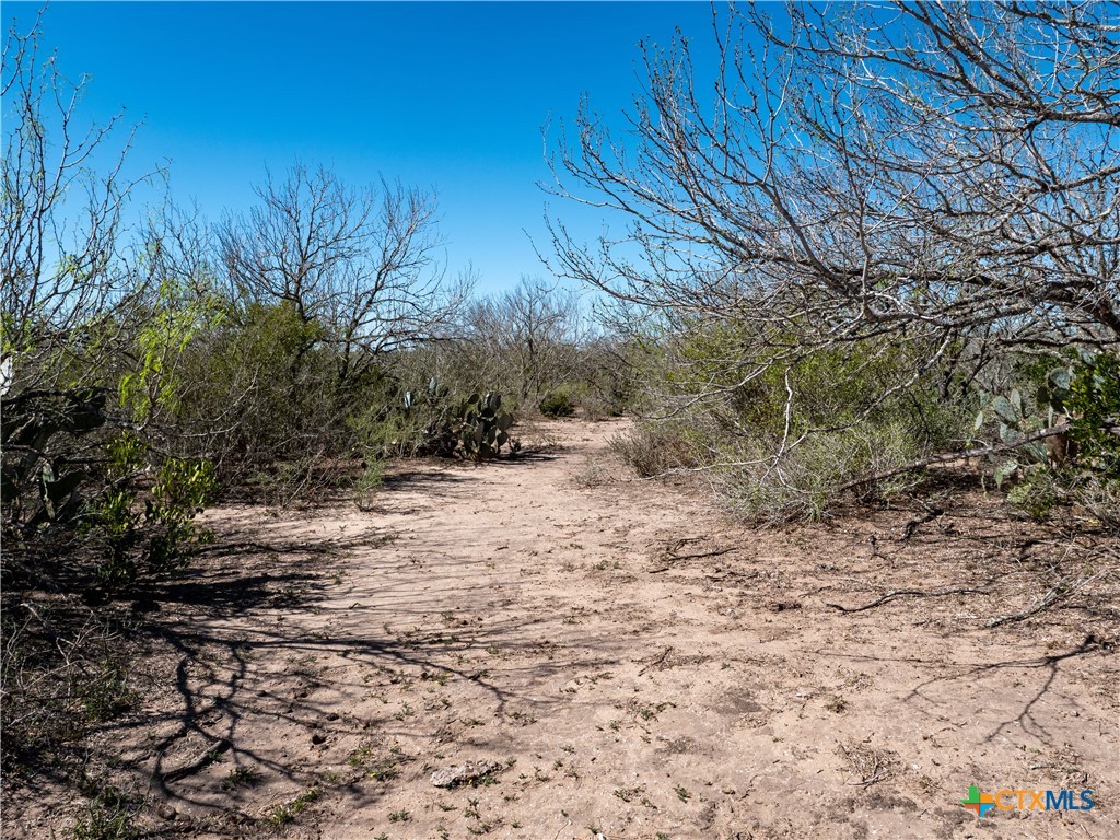 TBD County Road 131