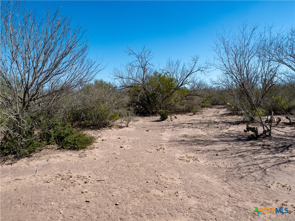 TBD County Road 131