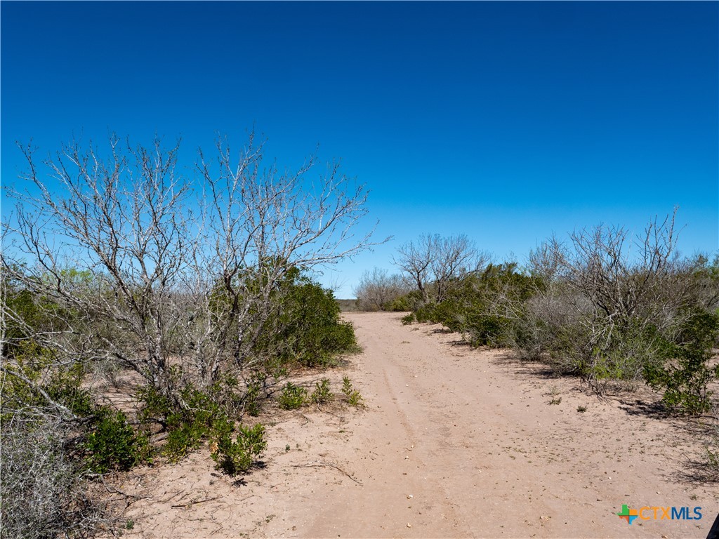 TBD County Road 131
