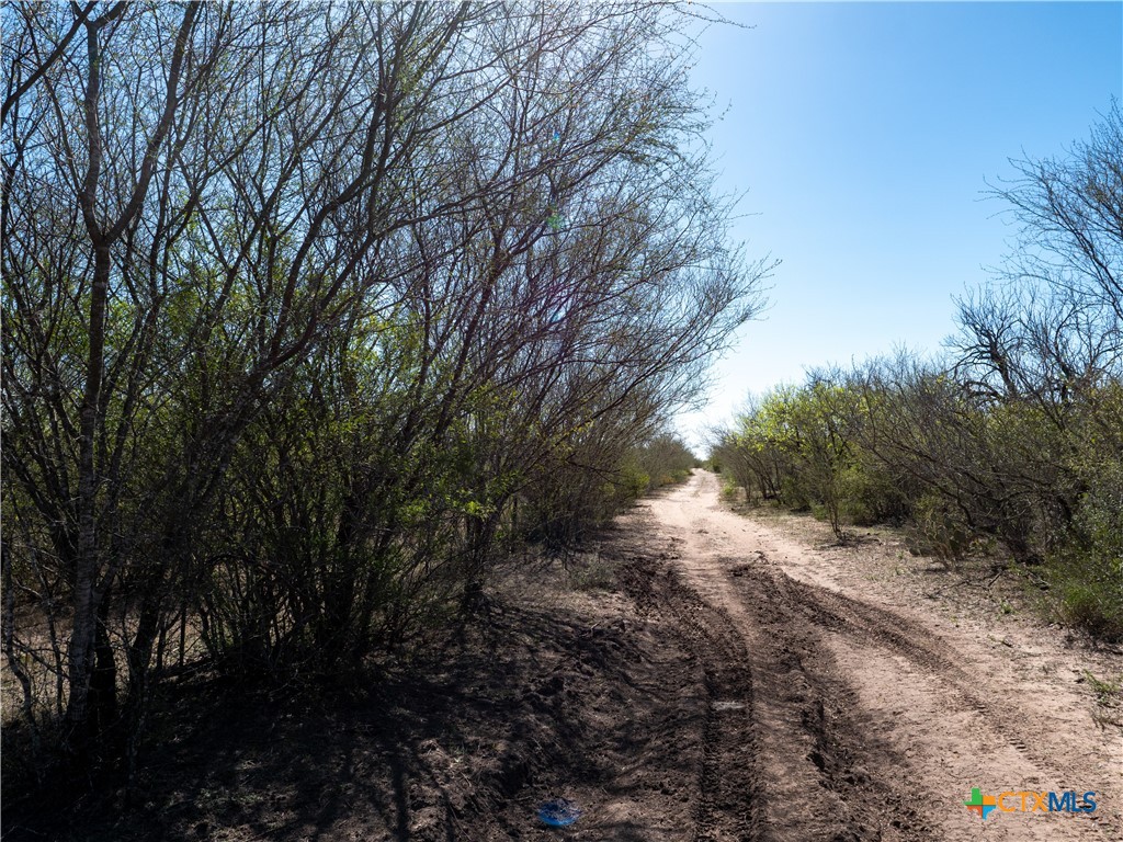 TBD County Road 131