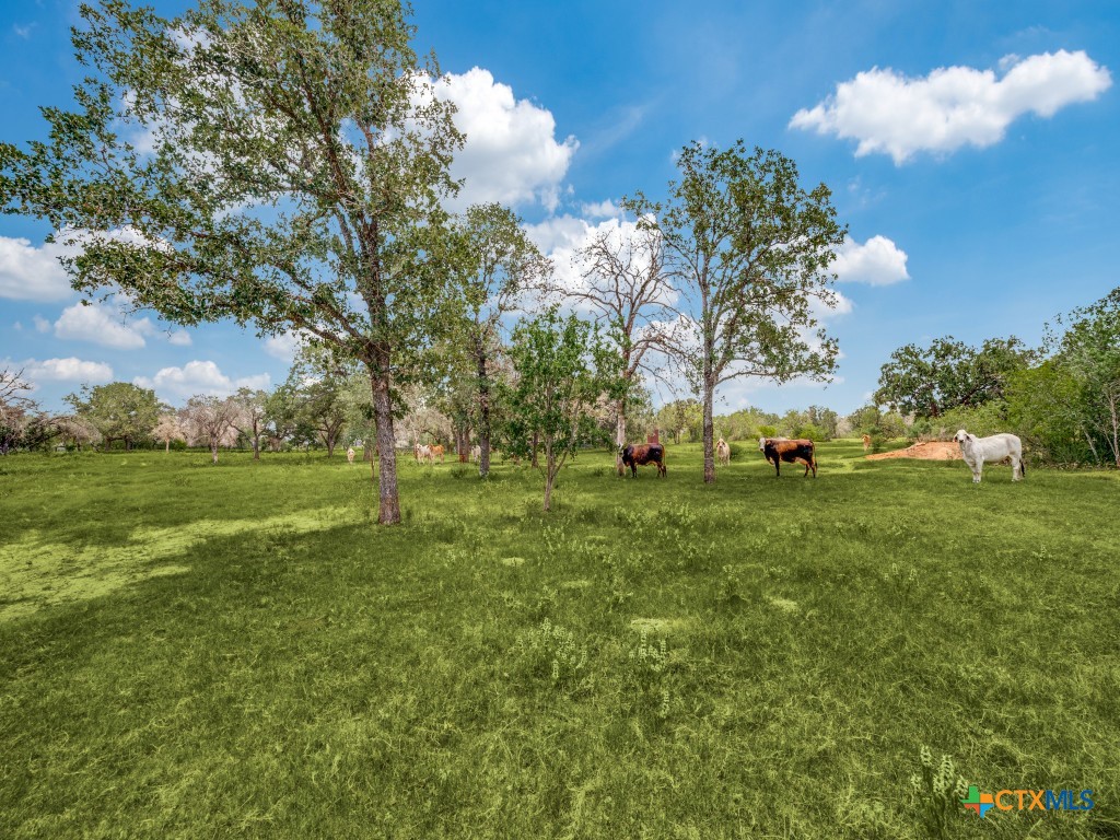 12505 W Fm 476