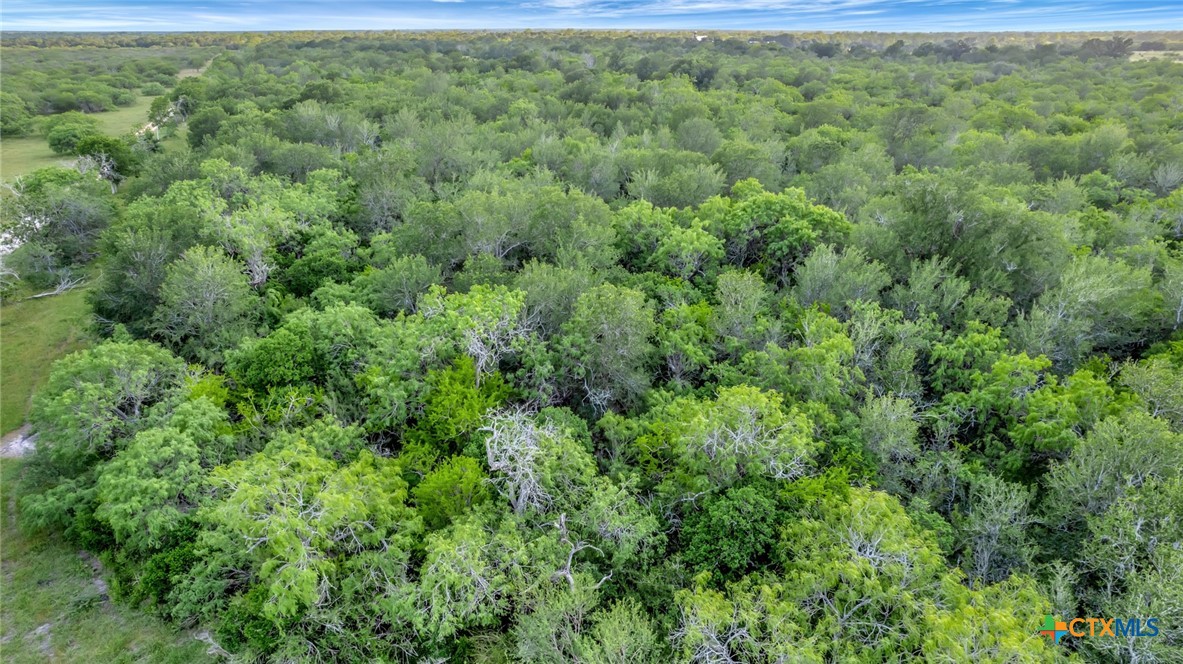 000 San Antonio River Road