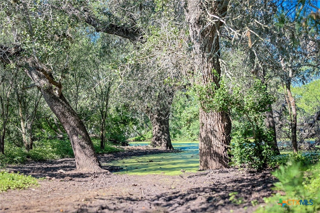 000 County Line Rd # 120