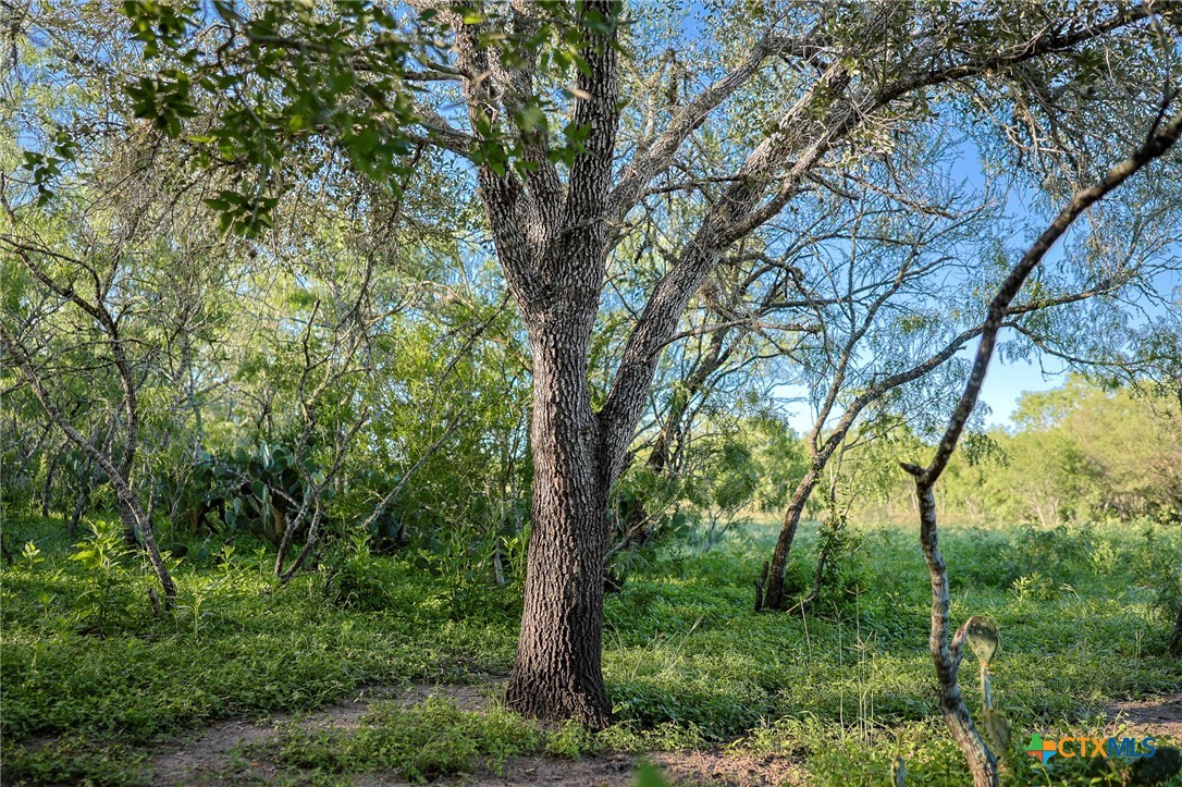 000 County Line Rd # 120