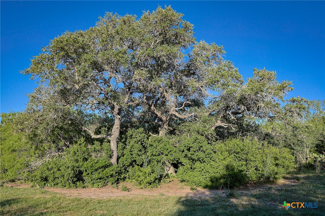 000 County Line Rd # 120
