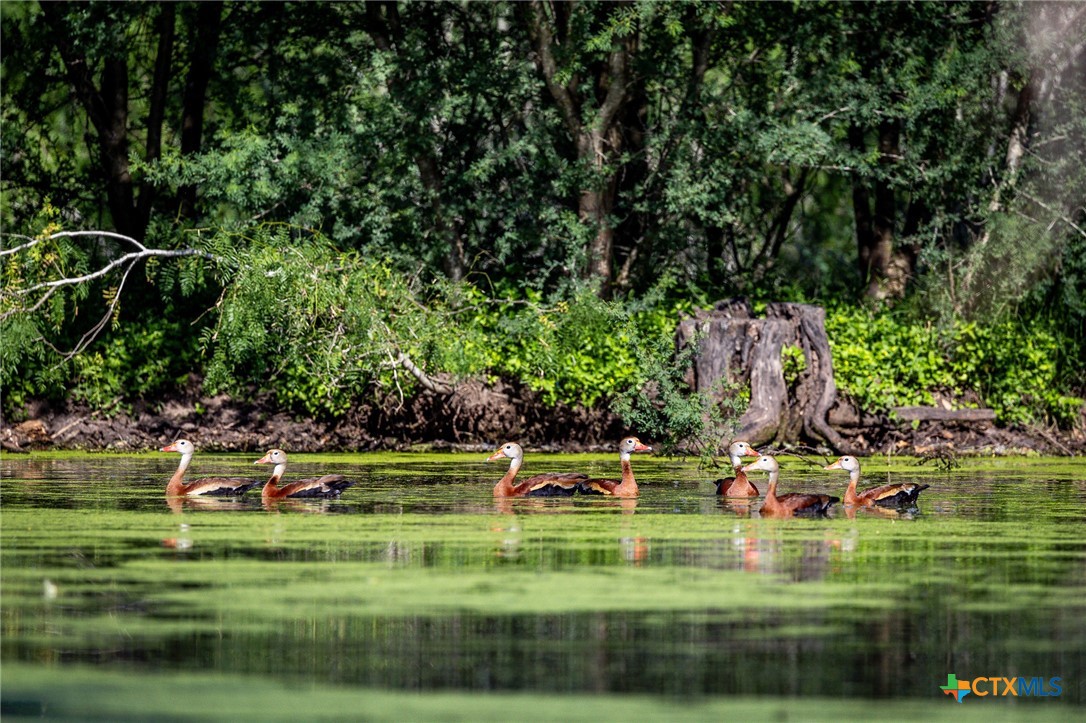 000 County Line Rd # 120