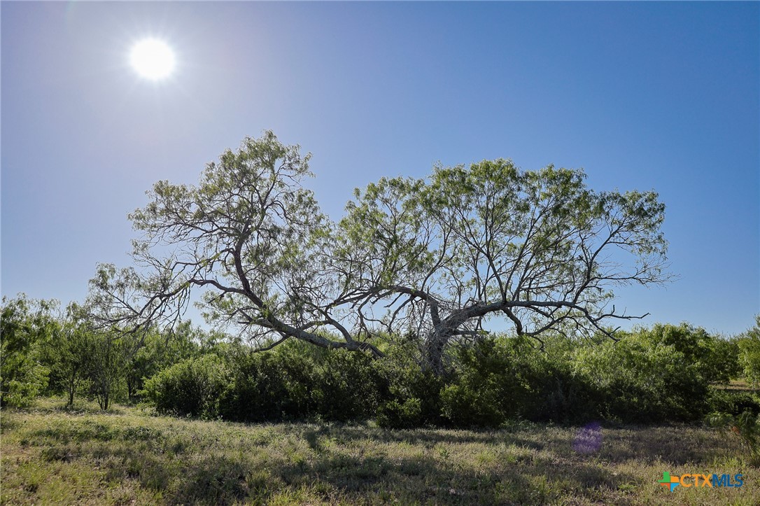 000 County Line Rd # 120