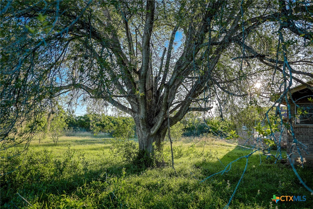 000 County Line Rd # 120