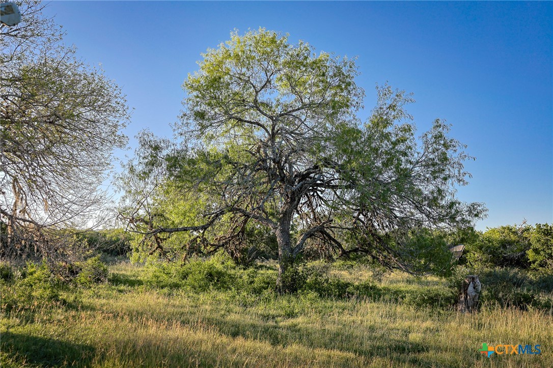 000 County Line Rd # 120