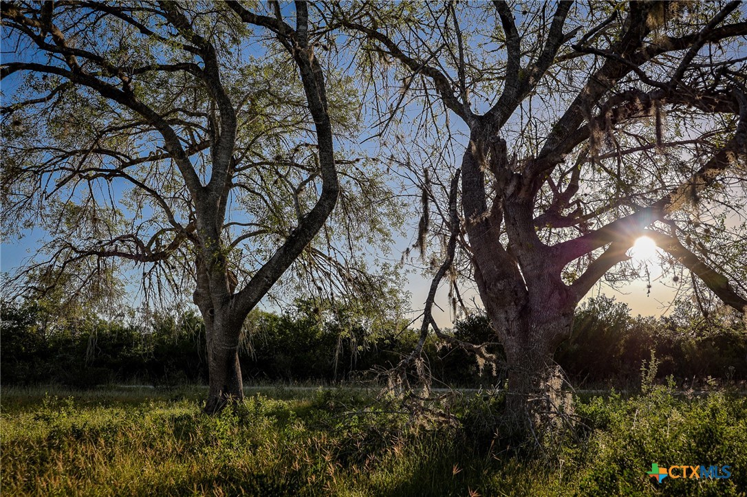 000 County Line Rd # 120