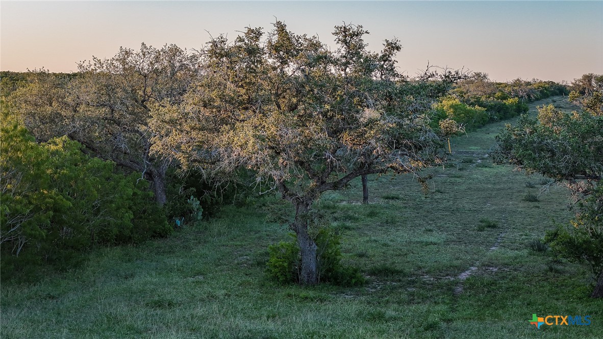 000 County Line Rd # 120