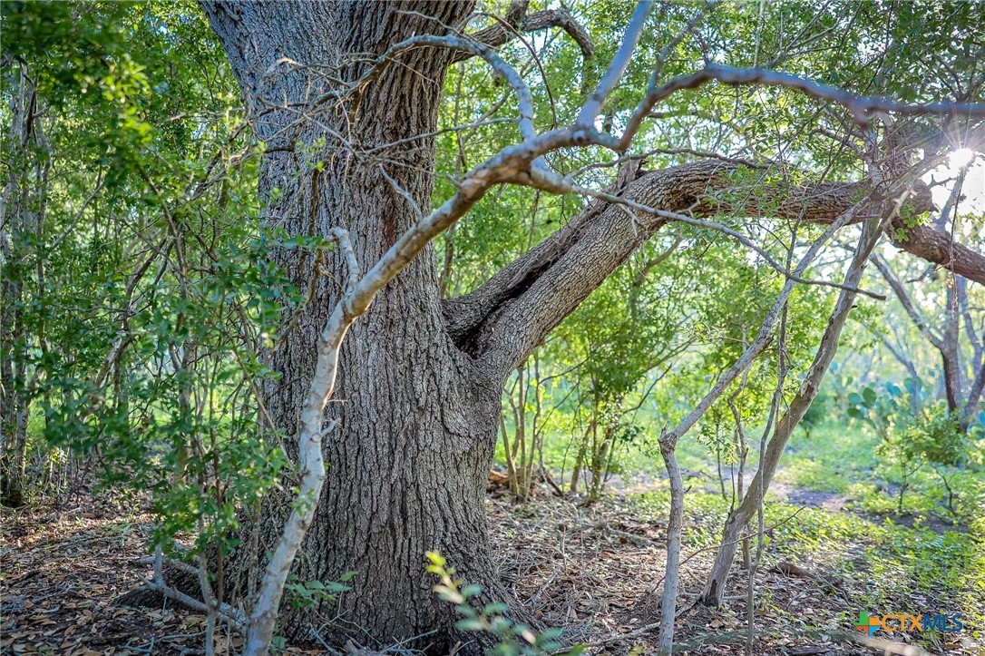 000 County Line Rd # 120