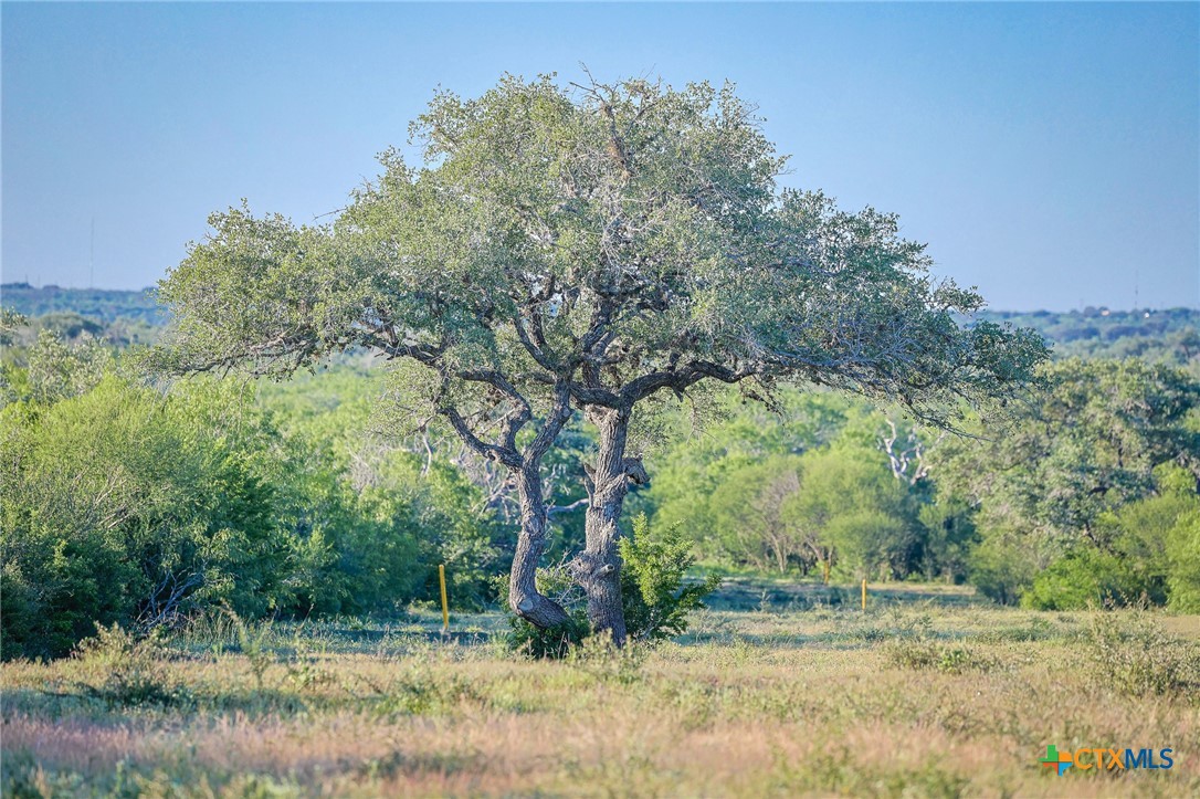 000 County Line Rd # 120