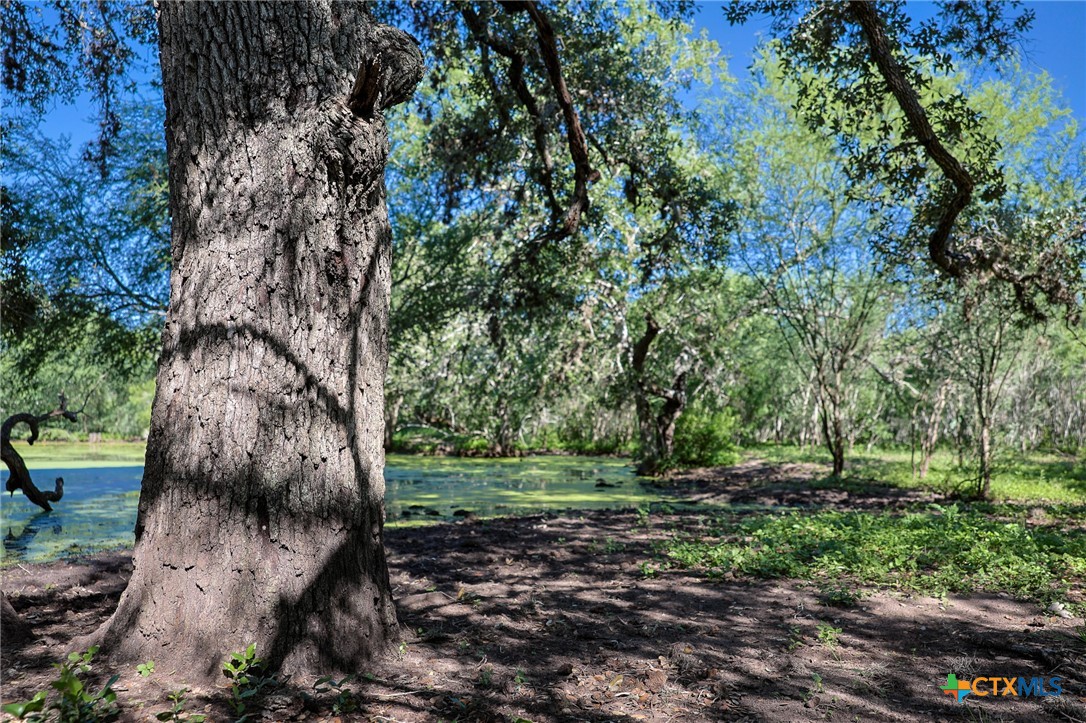 000 County Line Rd # 120