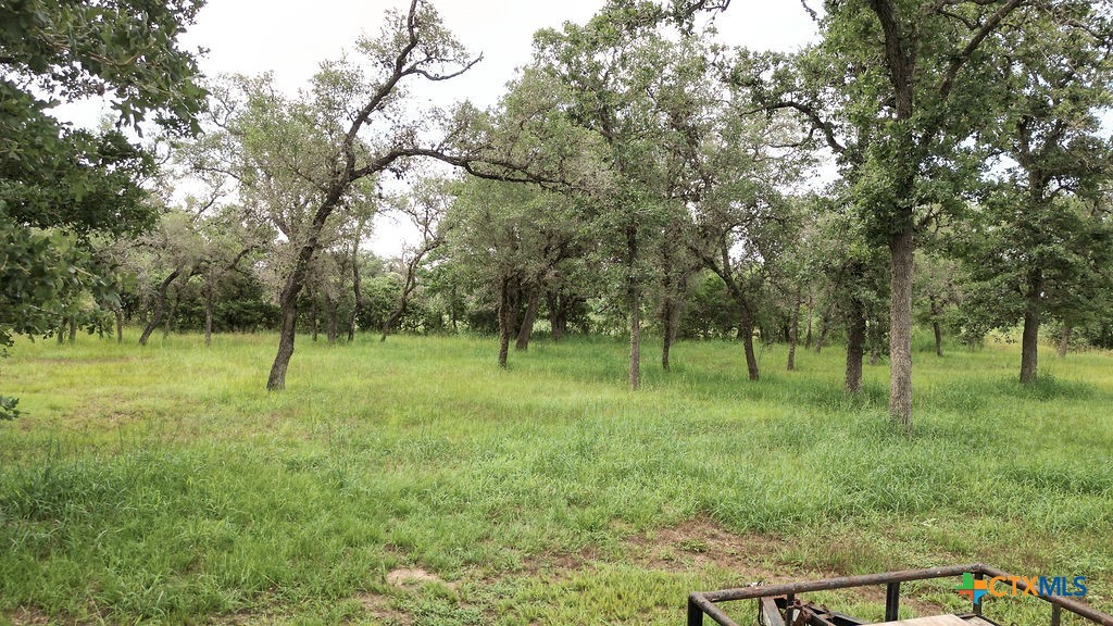 217 Post Oak Drive