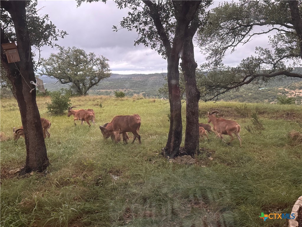 118 N Sheridan Dr Drive