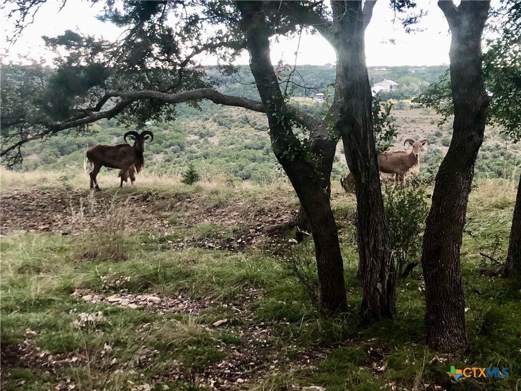 118 N Sheridan Dr Drive