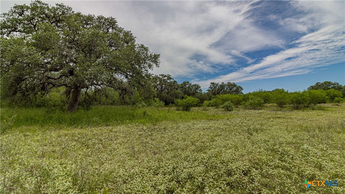 000 Hwy 181