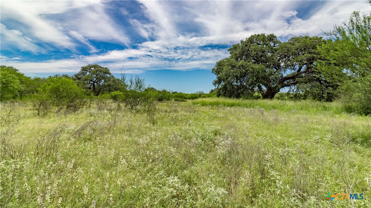 000 Hwy 181