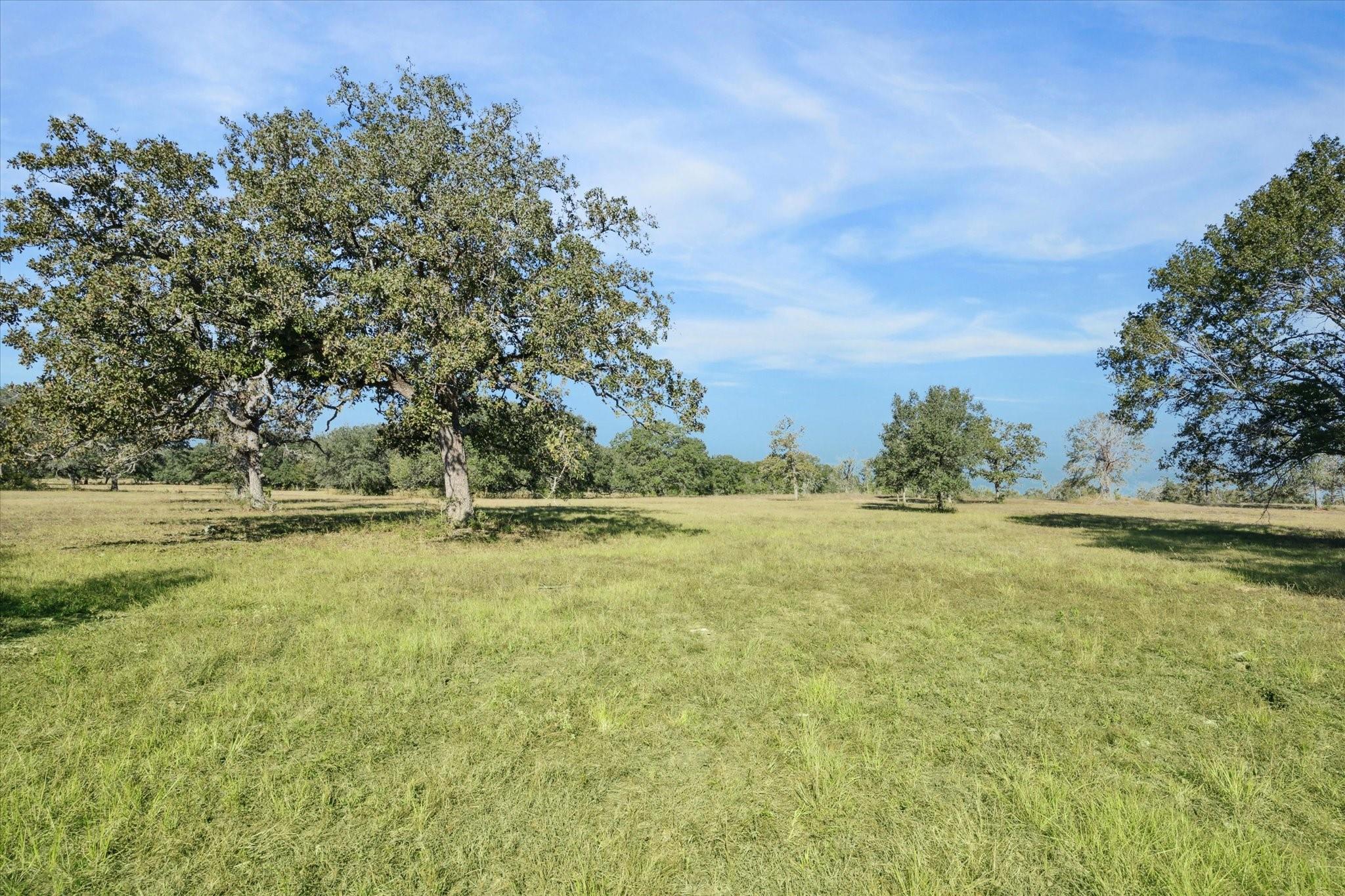 000 Koeppens Trail