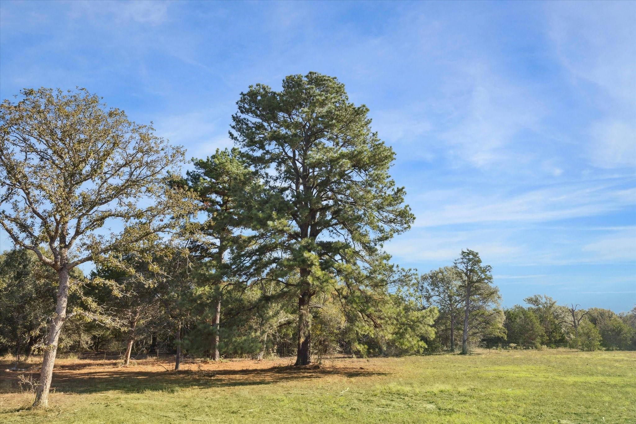 000 Koeppens Trail