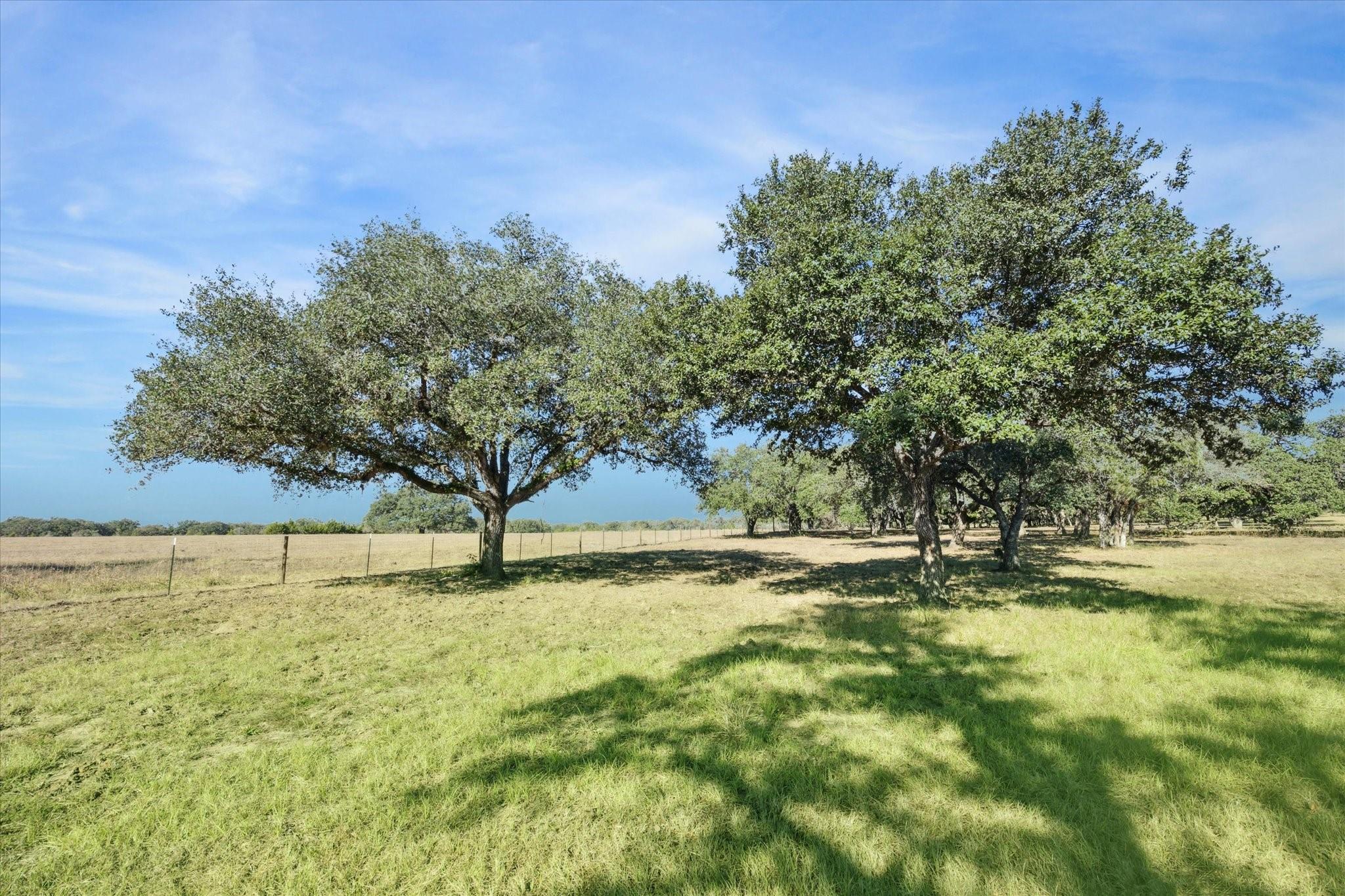 000 Koeppens Trail