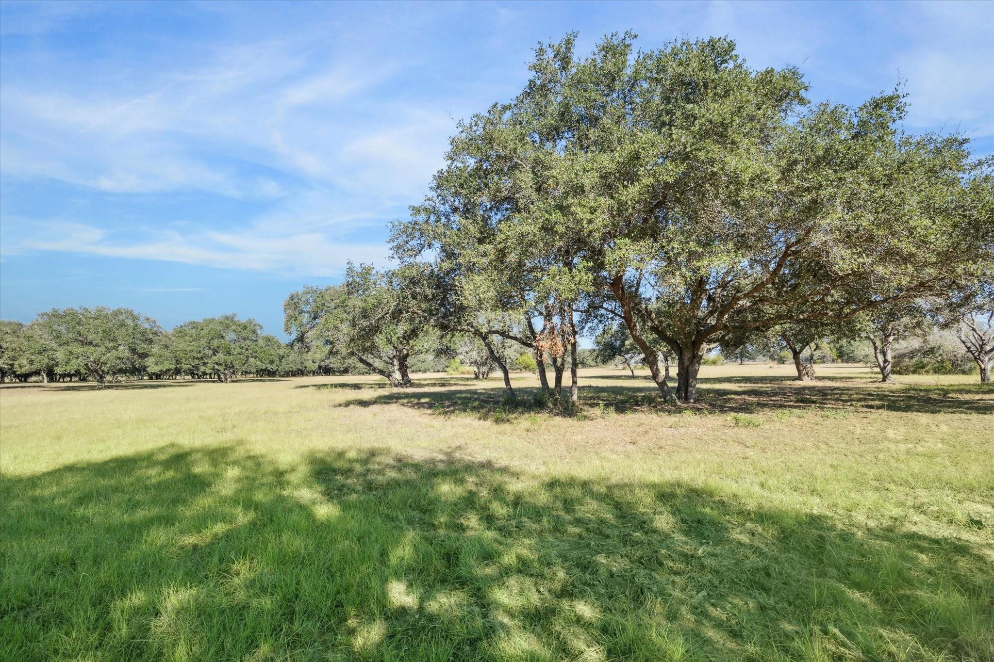 000 Koeppens Trail